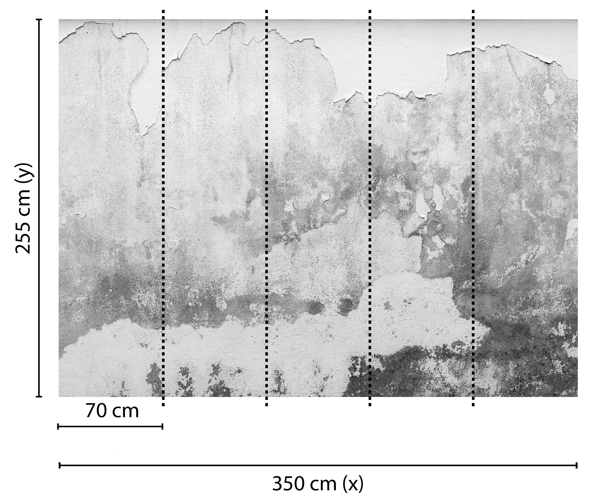 livingwalls-designwalls-118766-fototapete-betonoptik-grau-350x255cm image 2