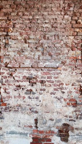 a-s-cr-ation-livingwalls-fototapete-steinoptik-rot-159x280 image 7