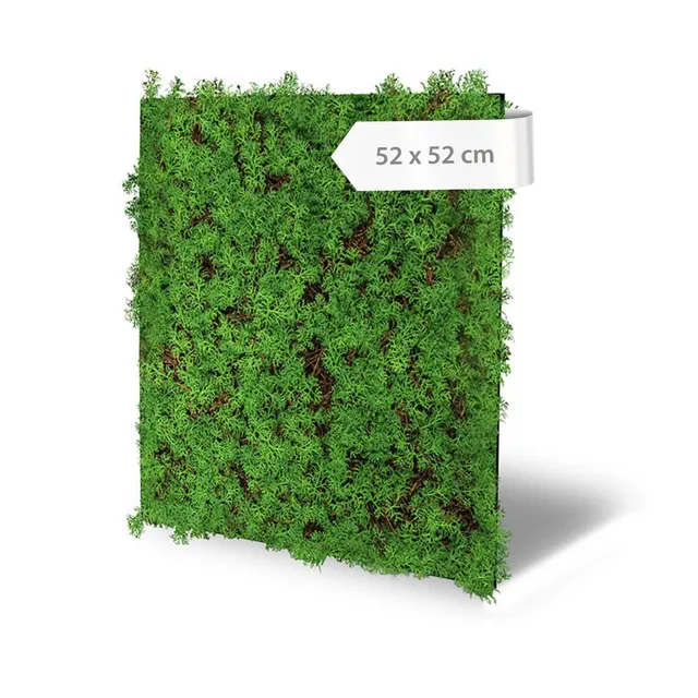 a-s-cr-ation-modular-wall-wandpaneel-thuja-tea-tree-52x52-gr-n image 1
