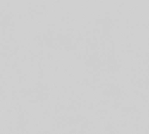 a-s-cr-ation-flavour-papiertapete-grau-floral-ansatzfrei image 8