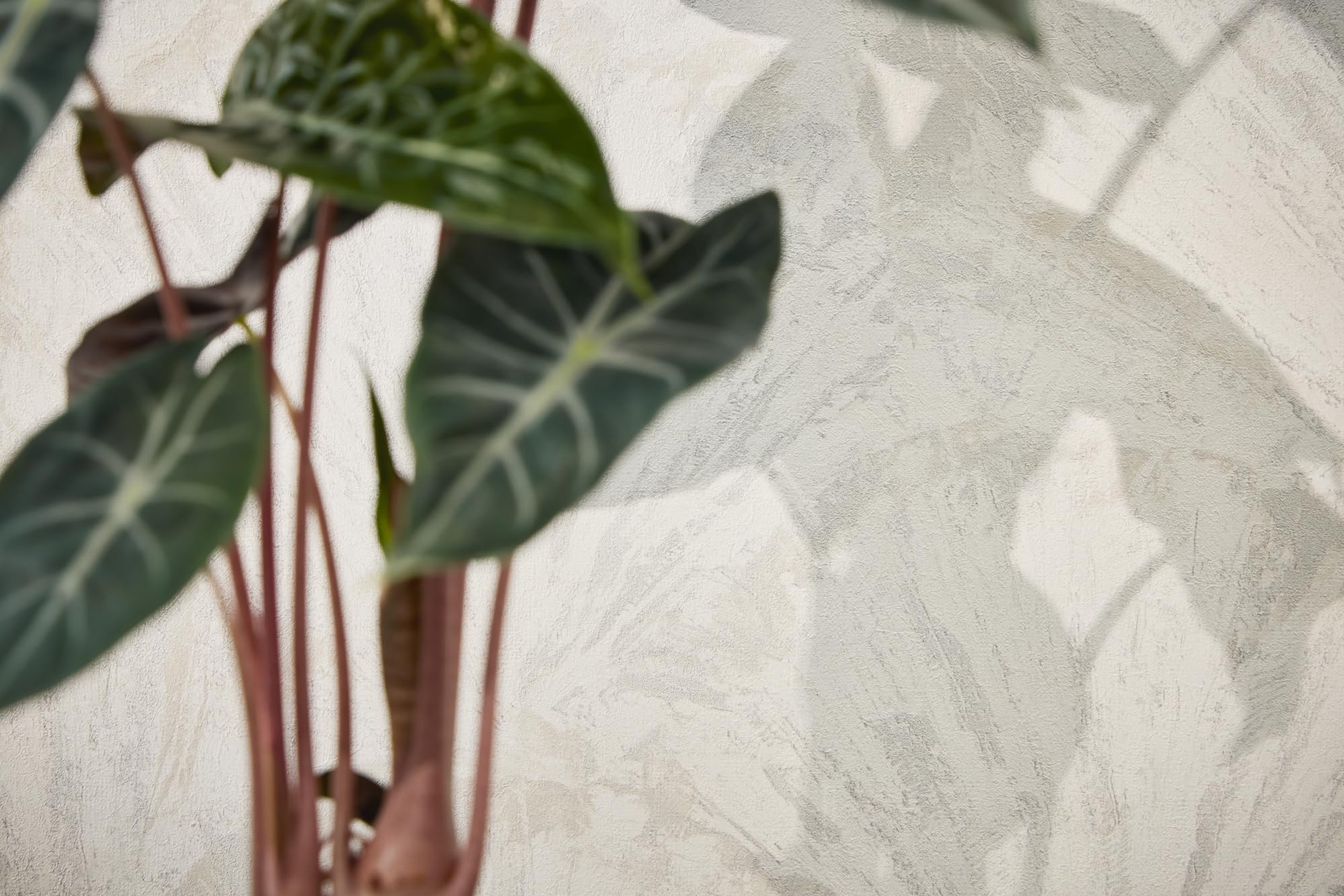 a-s-cr-ation-livingwalls-vliestapete-bl-tter-wei-grau-10-05m image 2