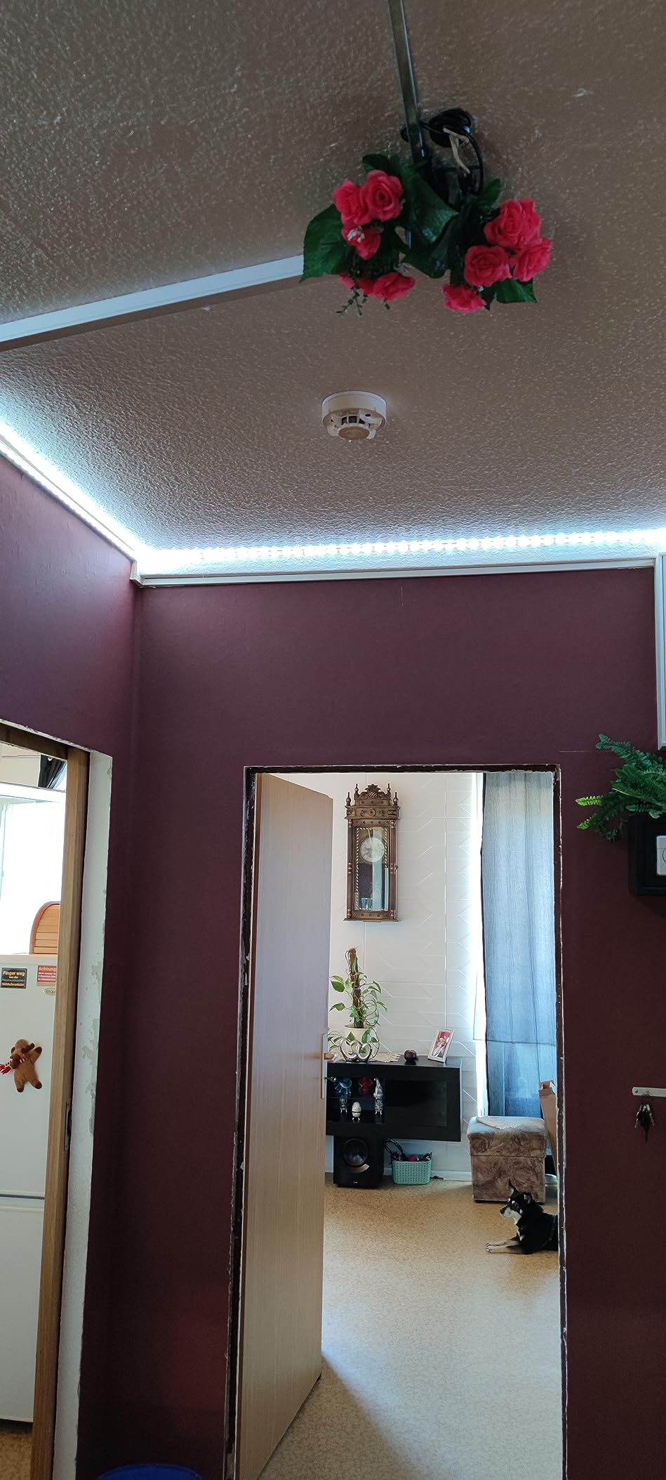 Gut zu kleben