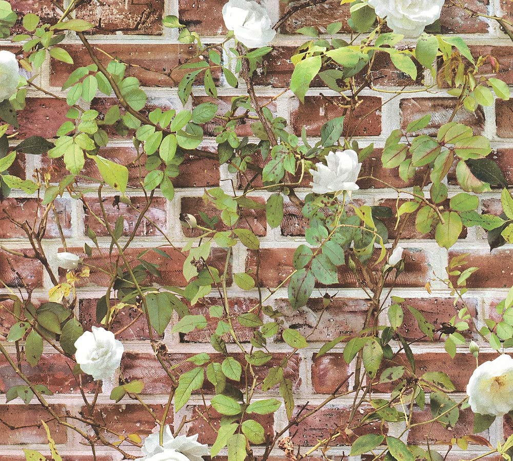 a-s-cr-ation-authentic-walls-2-papiertapete-backstein-efeu-36572-1 image 1