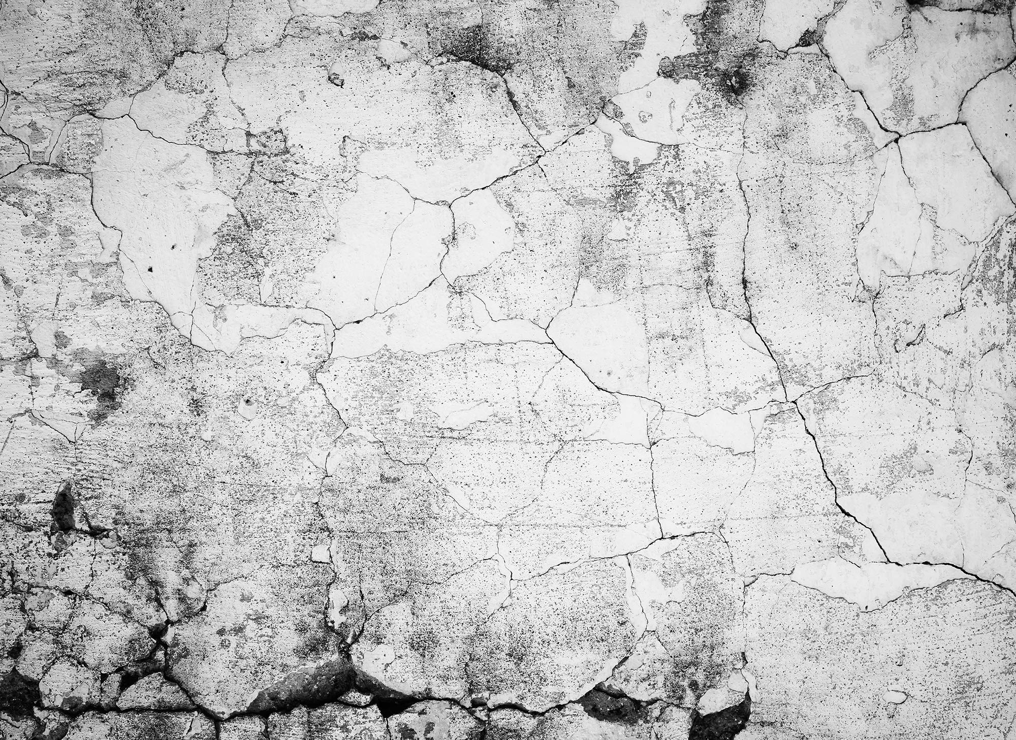 a-s-cr-ation-designwalls-fototapete-betonoptik-braun-grau-350x255 image 8