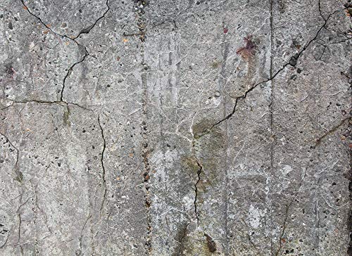 livingwalls-designwalls-fototapete-118791-beton-grau-xxl image 4