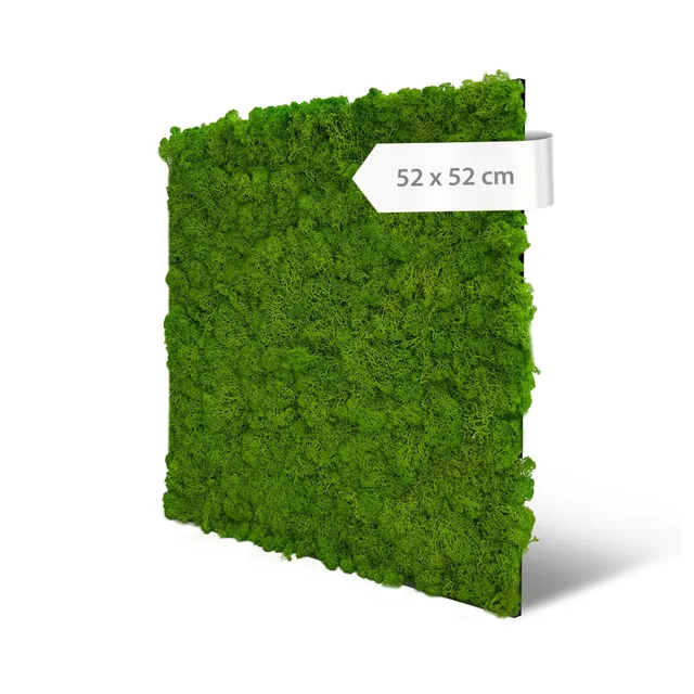 a-s-cr-ation-tapeten-modular-wall-echtmoos-paneel-hellgr-n-52cm image 1