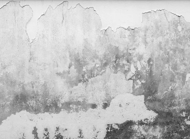 livingwalls-designwalls-118766-fototapete-betonoptik-grau-350x255cm image 1