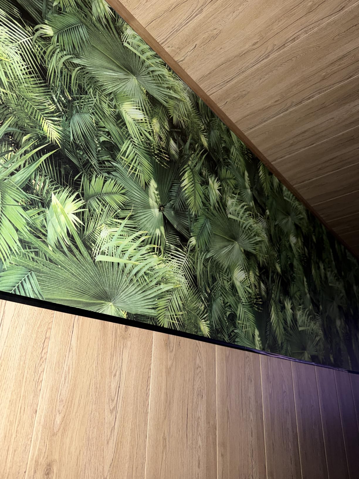 Tolle Wand