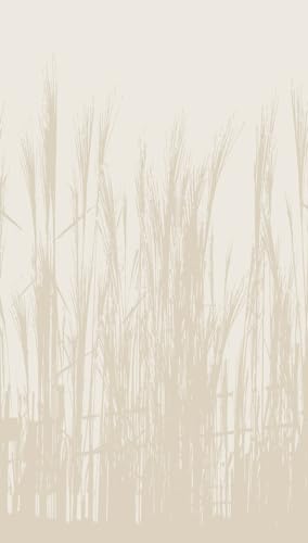 a-s-cr-ation-fototapeten-398781-fototapete-blumen-beige-1-59x2-80-m image 4