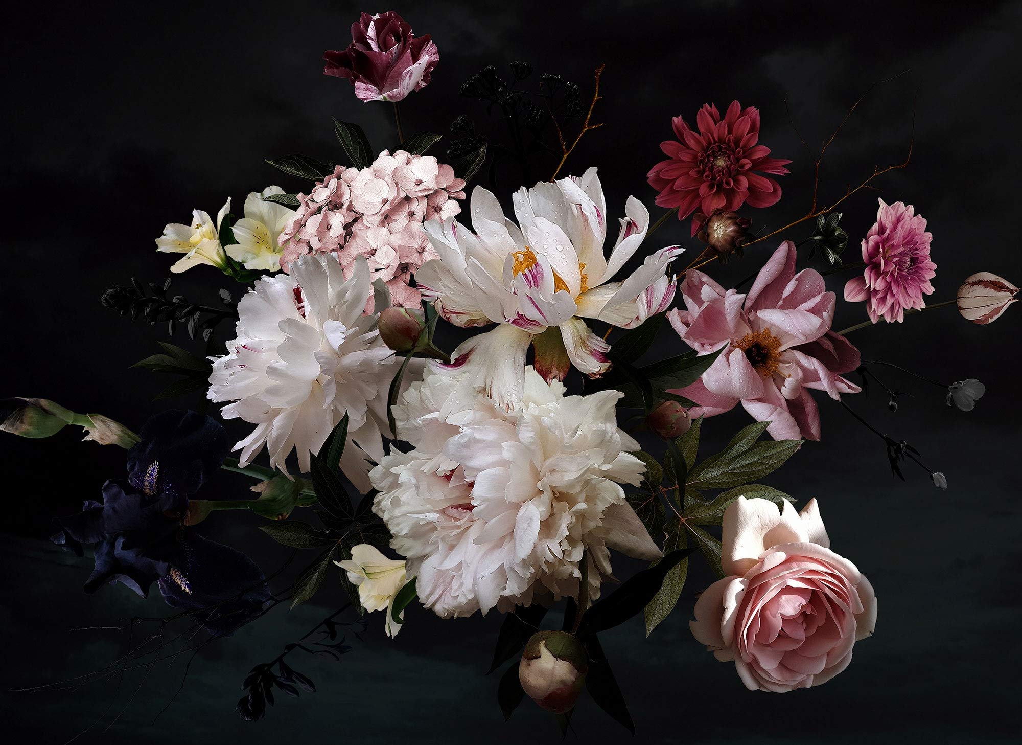 a-s-cr-ation-designwalls-fototapete-romantic-flowers-creme image 6