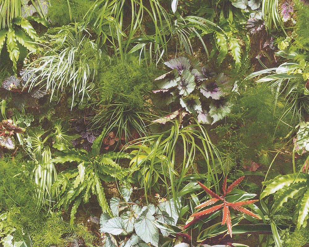 a-s-cr-ation-authentic-walls-924513-papiertapete-holz-blumen image 1