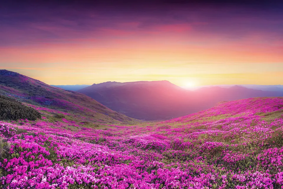 a-s-cr-ation-fototapeten-mountain-meadow-fototapete-4-00x2-67m image 1