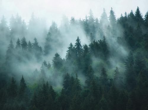 a-s-cr-ation-fototapeten-398981-fototapete-natur-gr-n-371x280 image 4