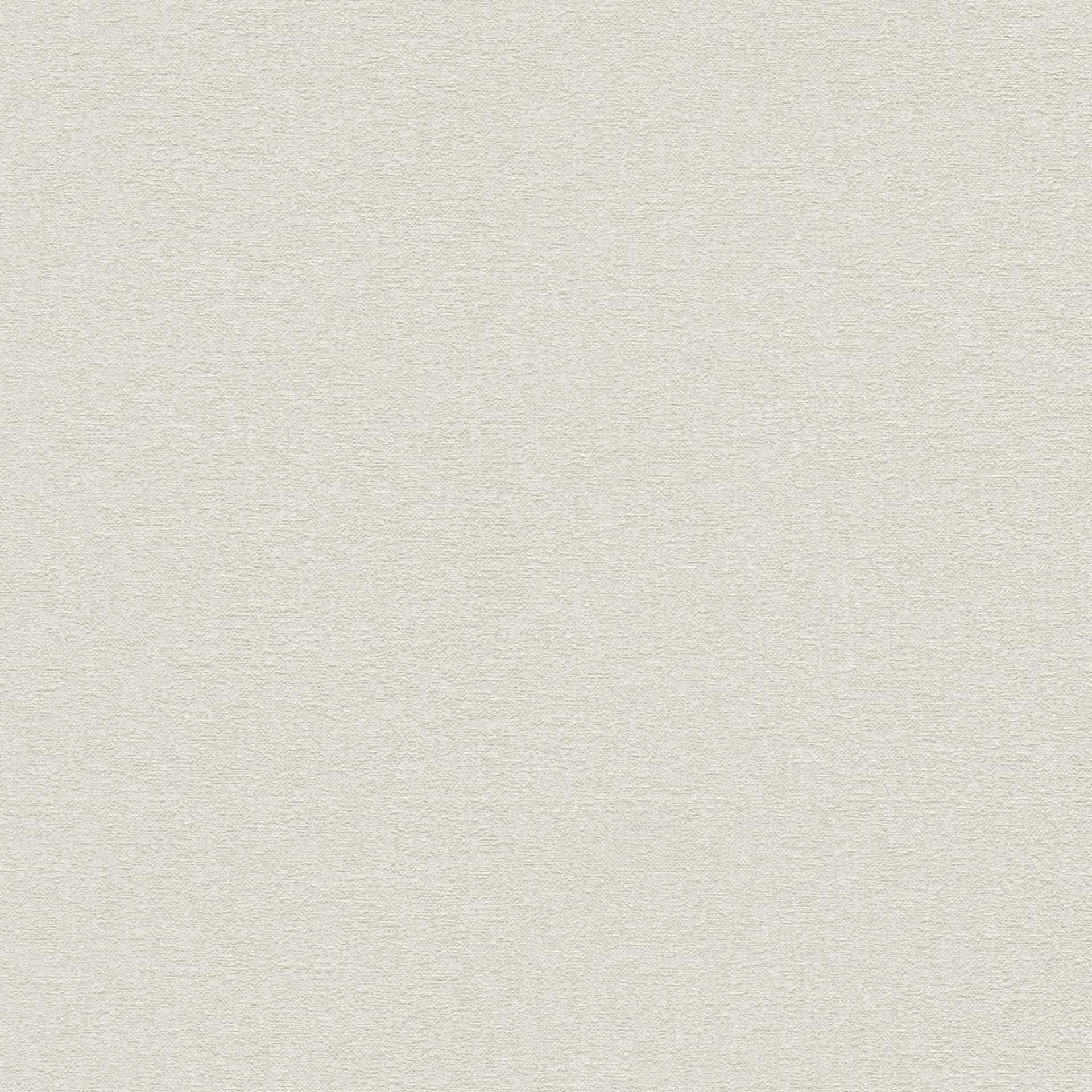 a-s-cr-ation-livingwalls-uni-vliestapete-beige-10-05x0-53m image 2