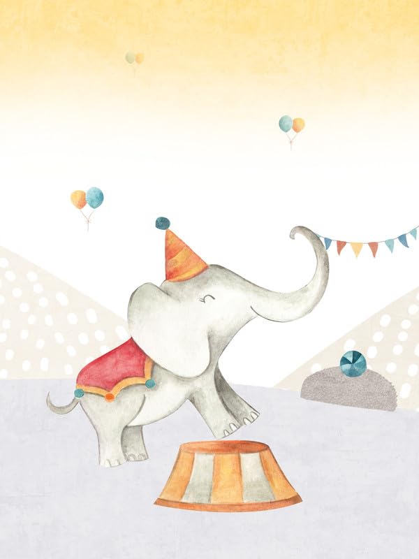 a-s-cr-ation-leinwandbilder-dd129371-leinwandbild-zirkus-elefant-30x40 image 6