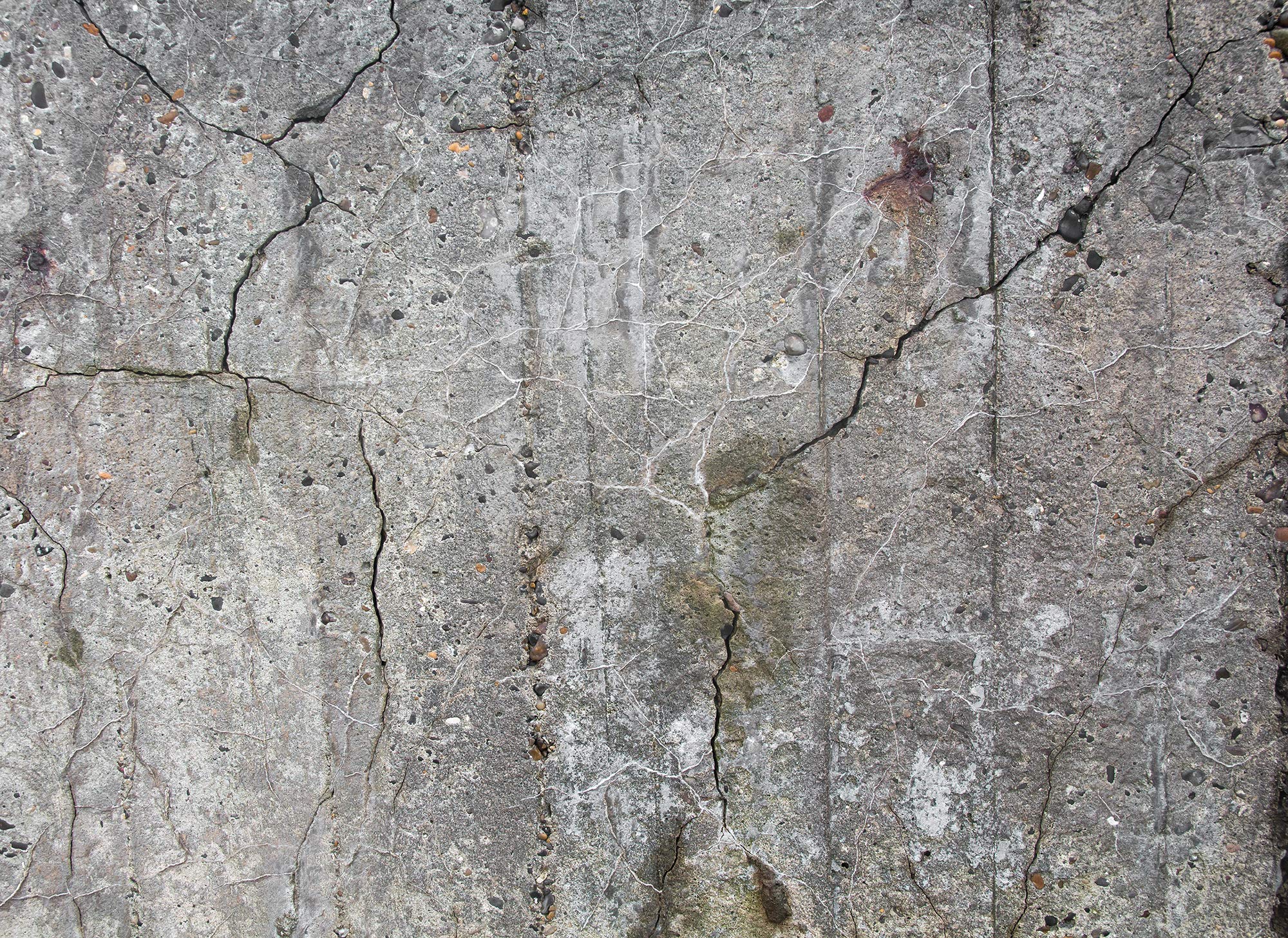 livingwalls-designwalls-fototapete-118791-beton-grau-xxl image 1
