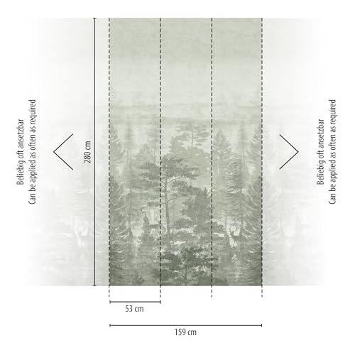 a-s-cr-ation-fototapeten-wald-fototapete-gr-n-grau-1-59x2-80m image 7